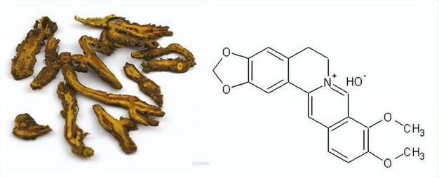 生物农药低温也能用的青苔防治植物源杀菌剂