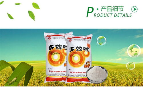 探秘多效唑 农业调控的隐形帮手与全丰生物科技的生物农药创新