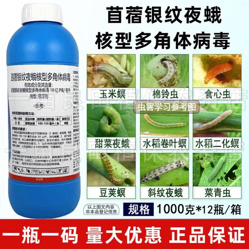 首作苜蓿银纹夜蛾核型多角体病毒生物农药 高效防治甜菜夜蛾的绿色选择